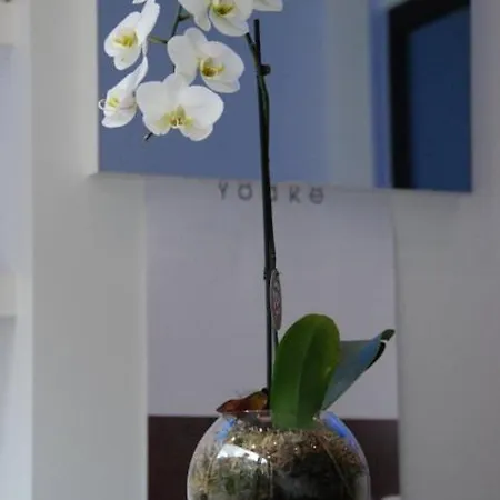 Pensión Azur Beauty & Wellness Gante